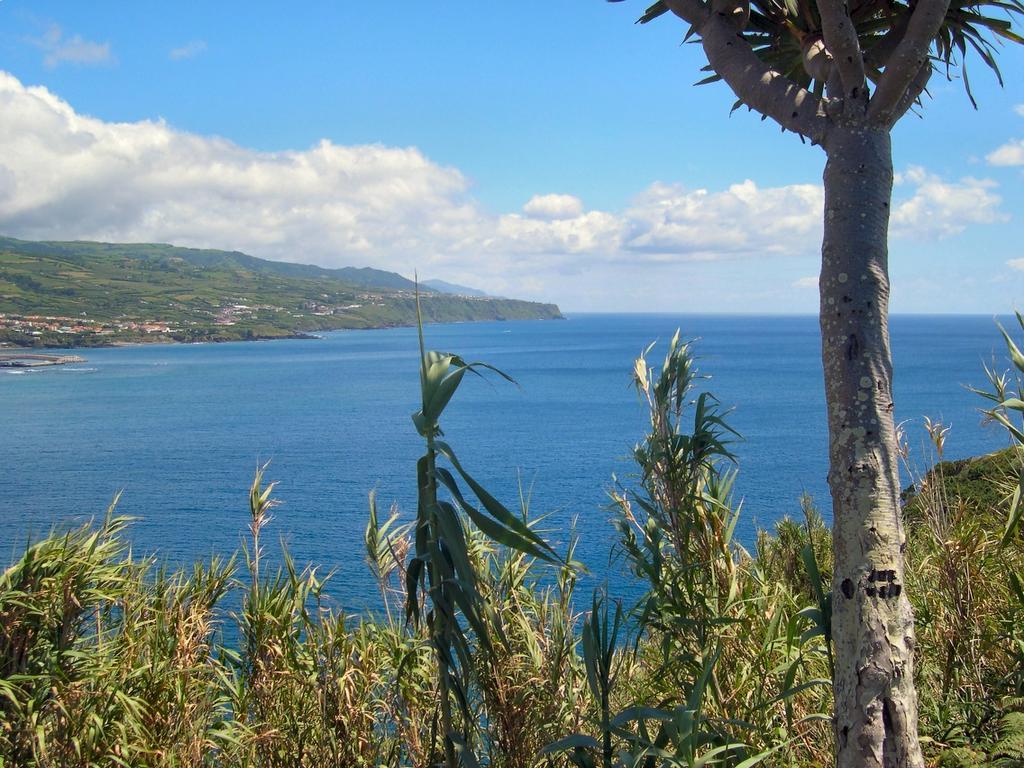 Casa Quinta Do Marques Villa Ponta Delgada Dış mekan fotoğraf