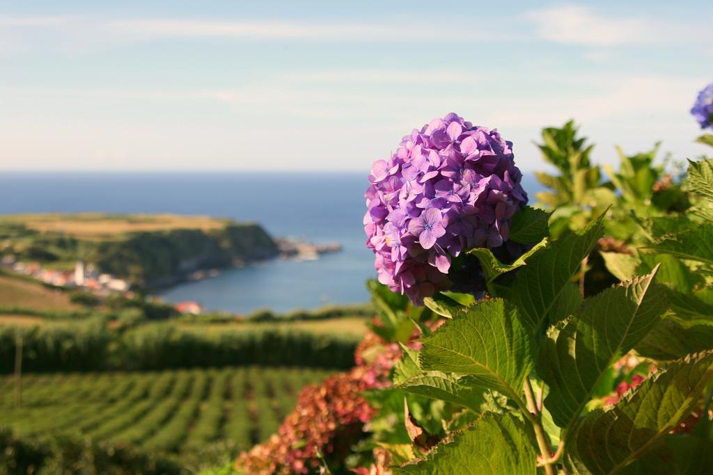 Casa Quinta Do Marques Villa Ponta Delgada Dış mekan fotoğraf